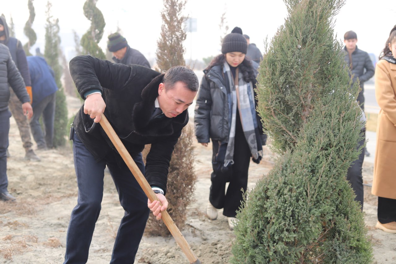 Yashil universitet faoliyati